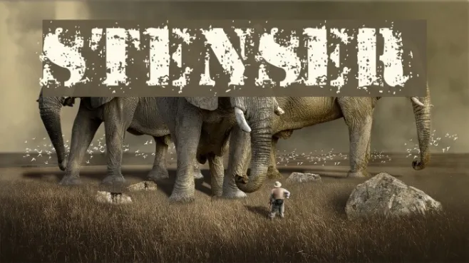 StensEr Example 3