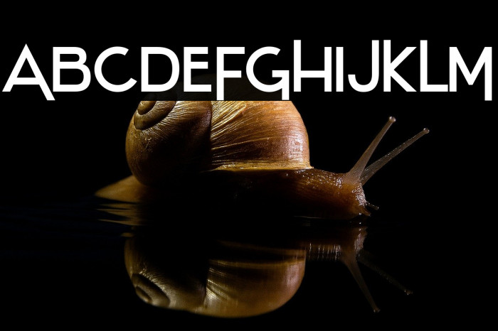 Stentiga-Regular Example 3