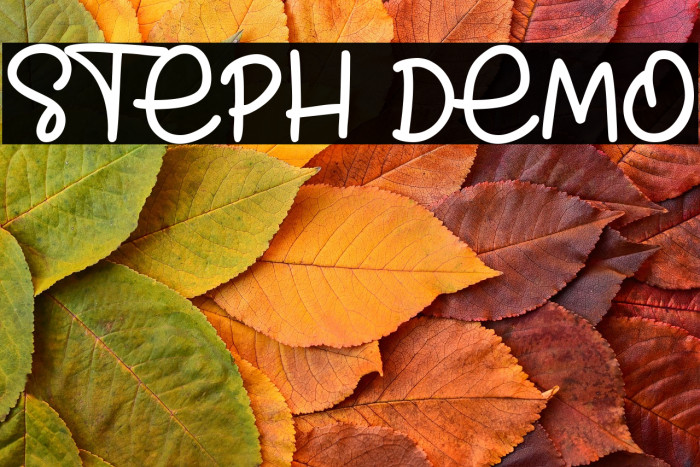 Steph Demo Example 2