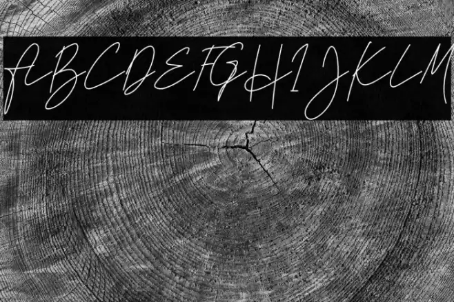 Stephani Schriftart examples