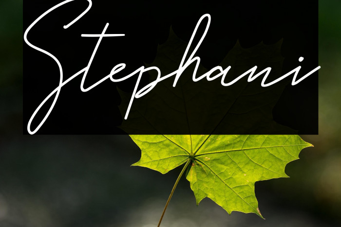 Stephani Example 3