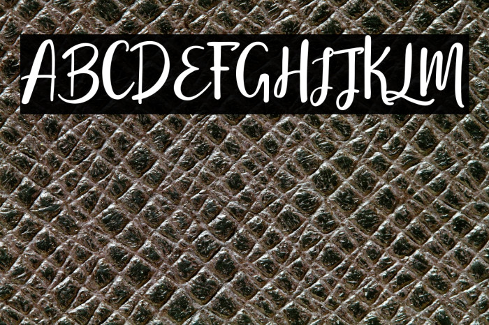 StephanieScript Example 1