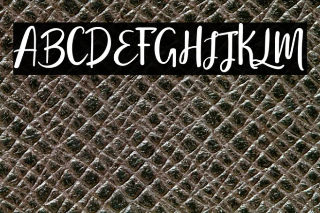 StephanieScript Example 1