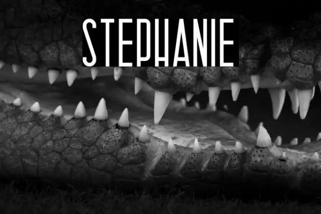 Stephanie Font examples