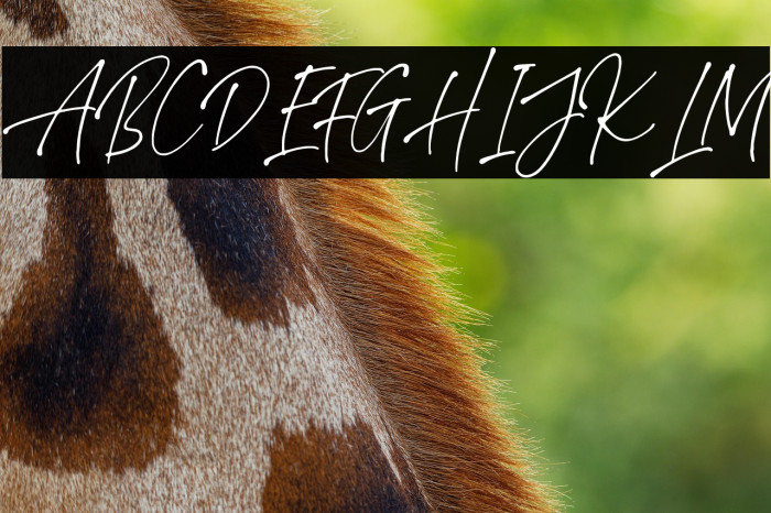 StephenGillionDEMO Example 1