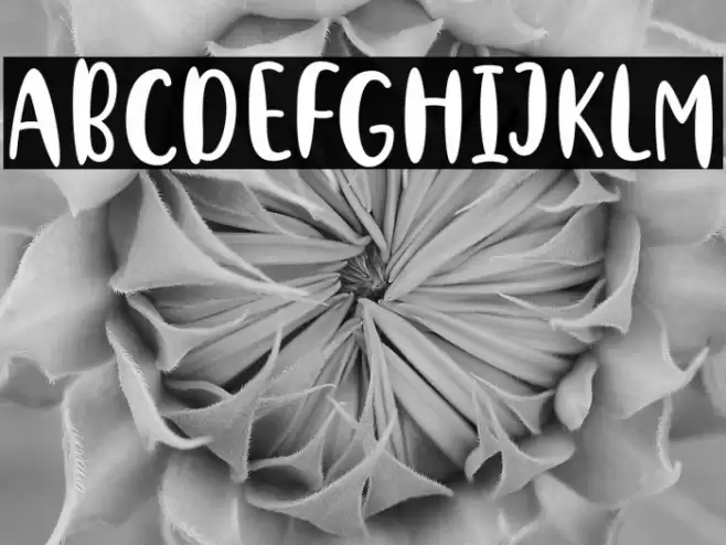 Stephia Font examples