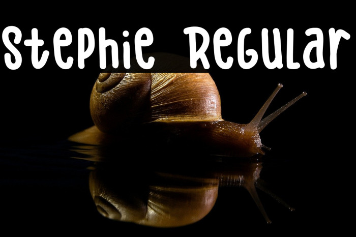 Stephie Regular Example 3