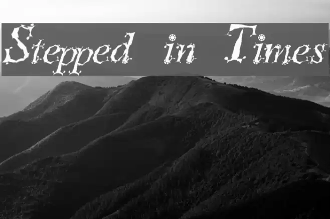 Stepped in Times Schriftart examples