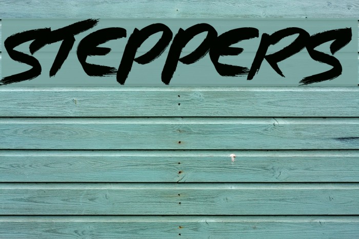 Steppers Font examples