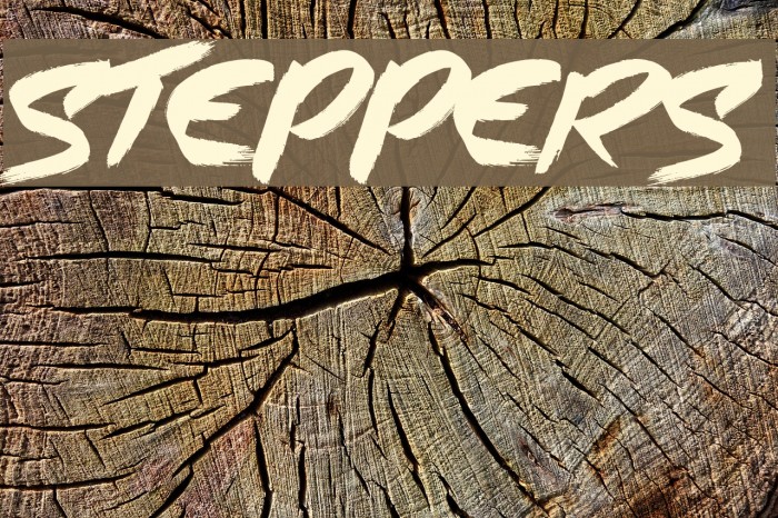 Steppers Font examples