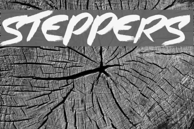Steppers Schriftart examples