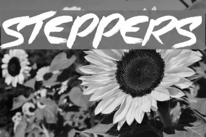 Steppers Font examples