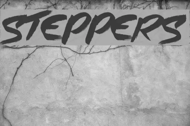 Steppers Font examples