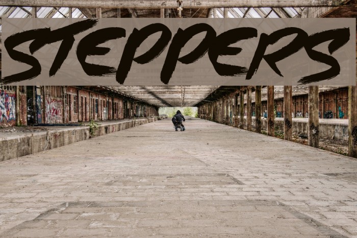 Steppers Font examples