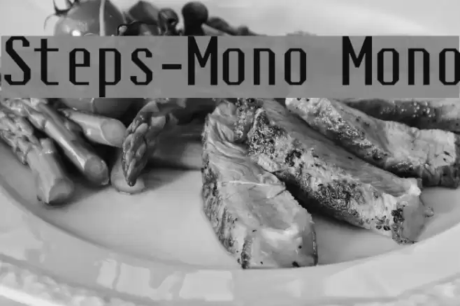 Steps-Mono Mono Font examples