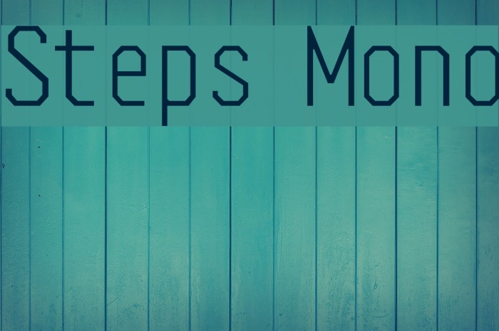 Steps Mono Schriftart examples