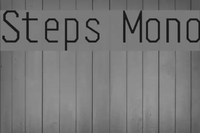 Steps Mono Schriftart examples