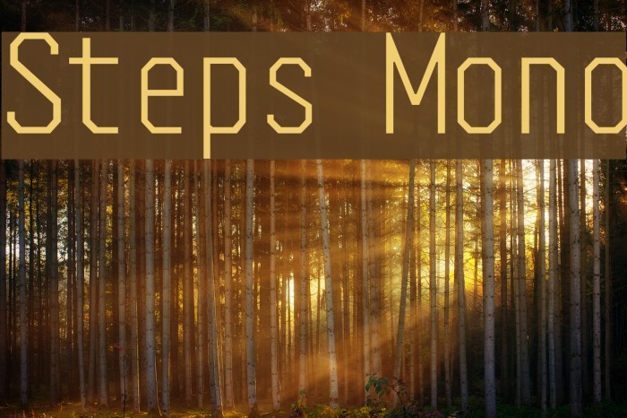 Steps Mono Schriftart examples