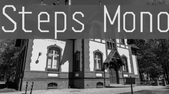 Steps Mono Schriftart examples