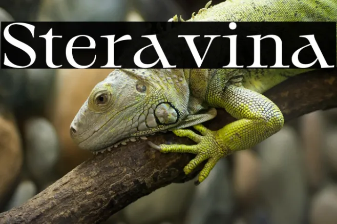 Steravina Example 3
