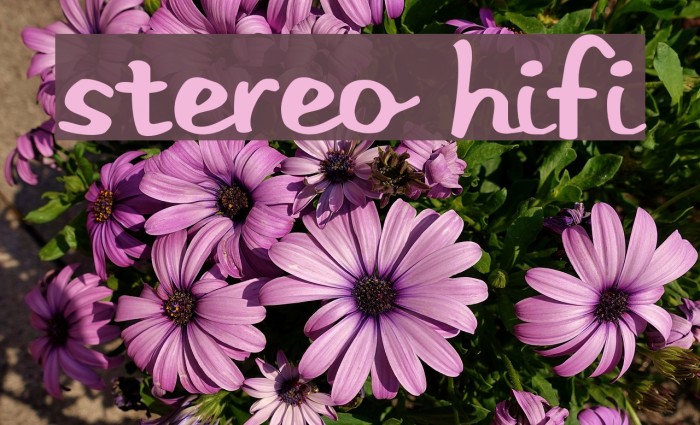 Stereo Hifi Fuentes examples