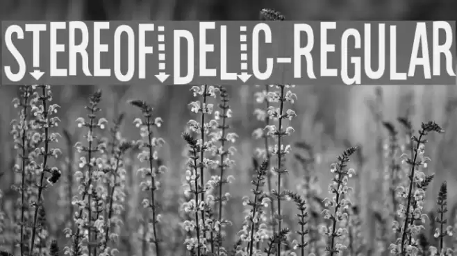 Stereofidelic-Regular Font examples
