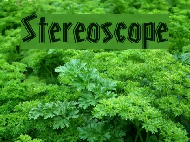 Stereoscope Example 2