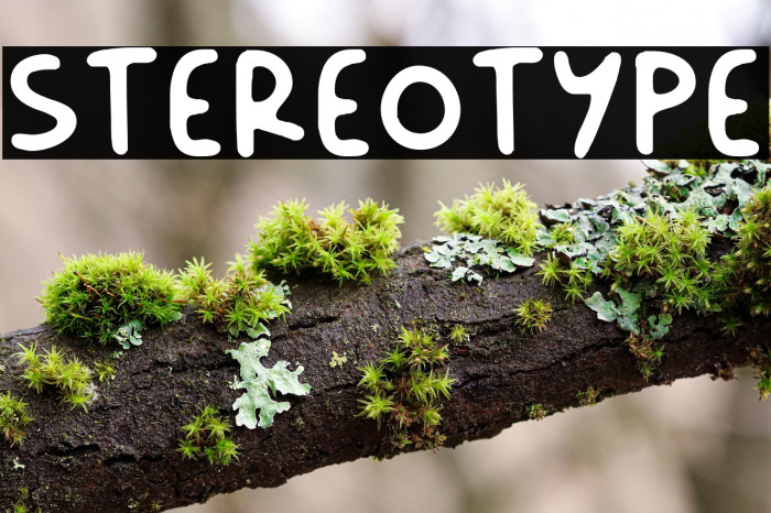 Stereotype Example 1