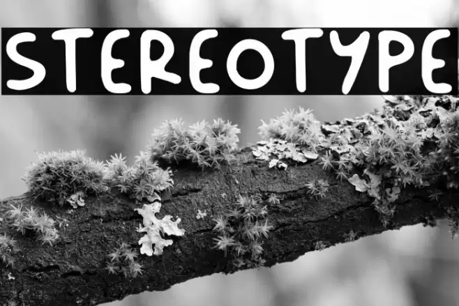 Stereotype 字体 examples