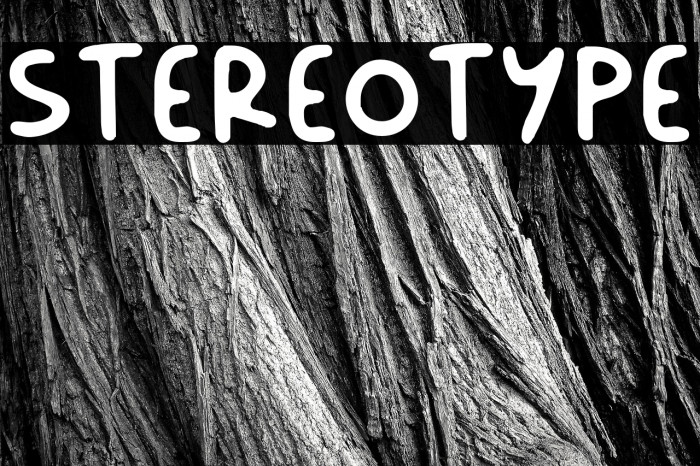 Stereotype Example 3