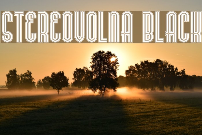 Stereovolna Black Font examples
