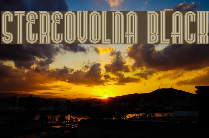 Stereovolna Black Font examples