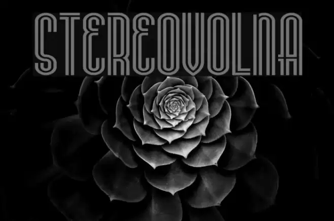 Stereovolna Font examples