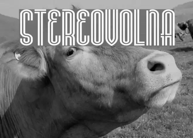 Stereovolna Font examples