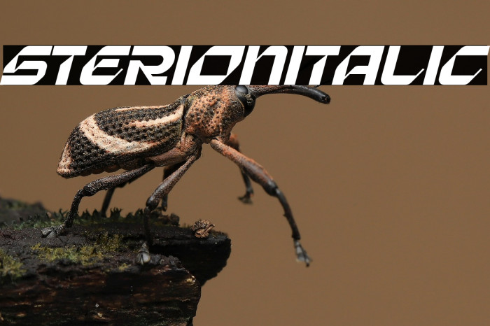 Sterion Italic Example 2