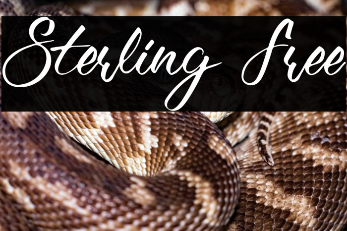 Sterling Free Example 3