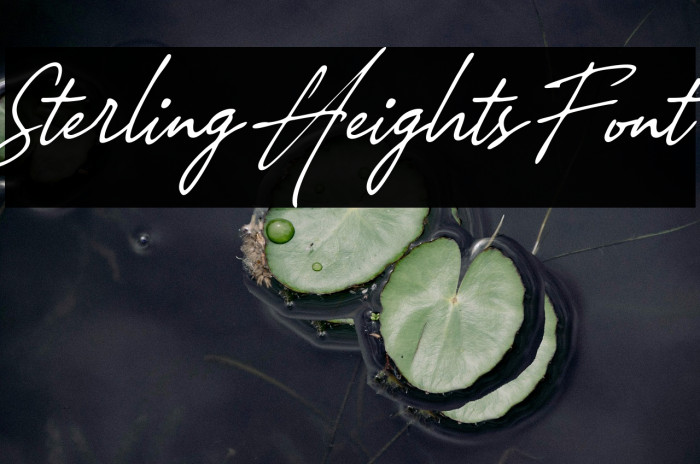 Sterling Heights Font Example 1