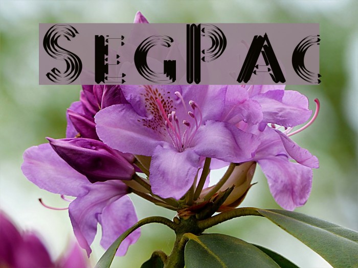 SterlingPanic Example 3