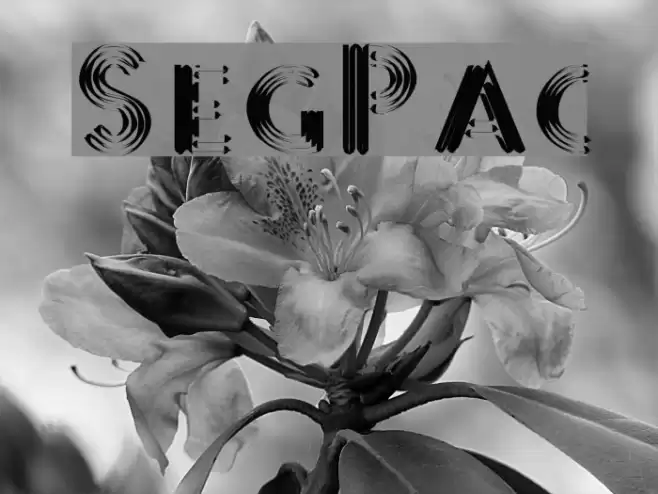 SterlingPanic Font examples