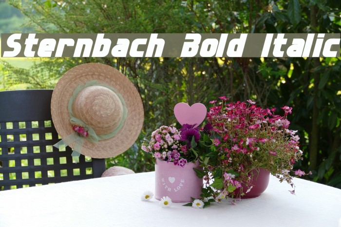 Sternbach Bold Italic Example 1
