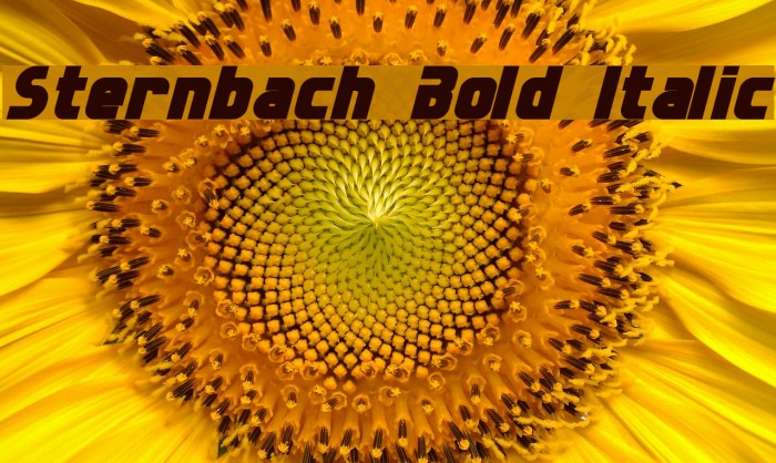 Sternbach Bold Italic Example 2