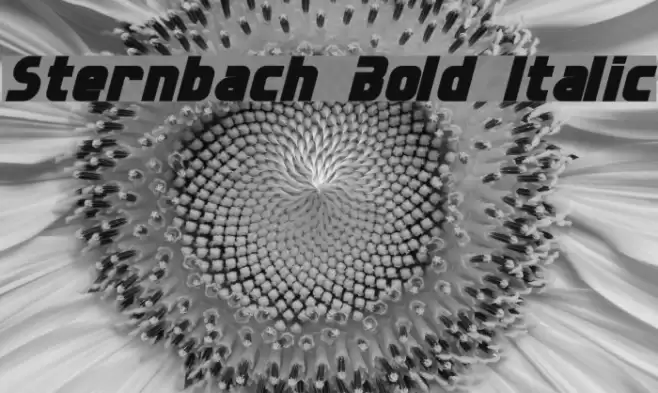 Sternbach Bold Italic Font examples
