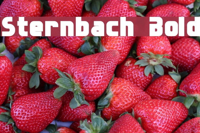 Sternbach Bold Font examples