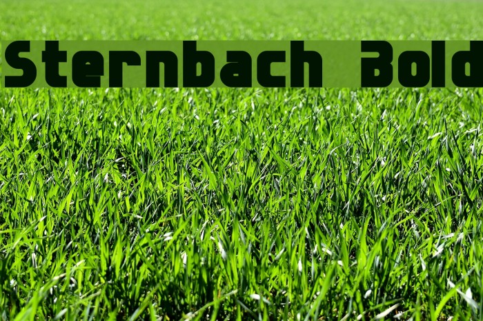 Sternbach Bold Font examples