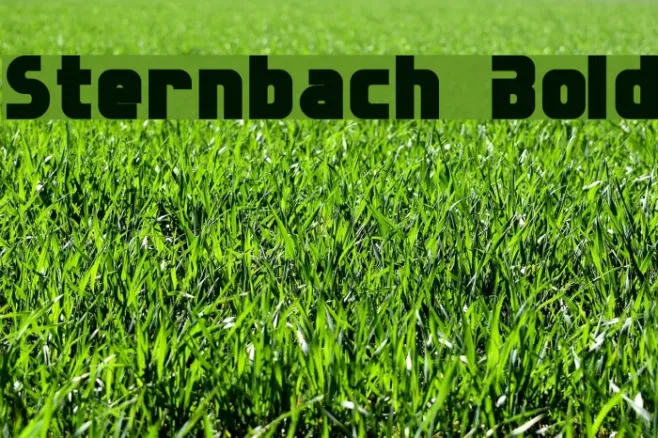 Sternbach Bold Example 3