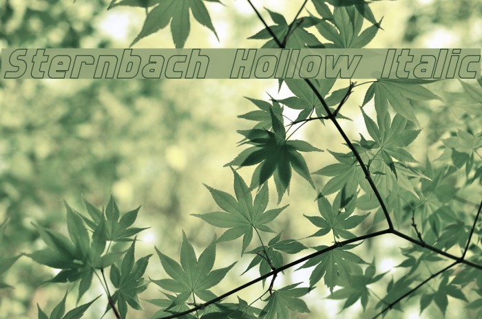 Sternbach Hollow Italic Font examples