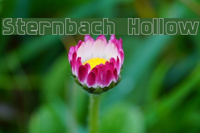 Sternbach Hollow Font examples