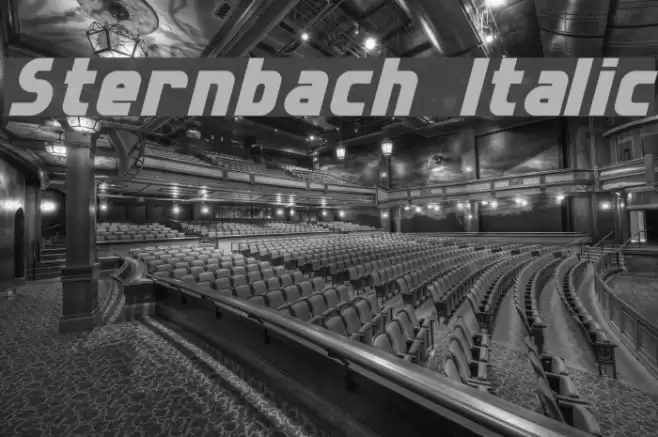 Sternbach Italic Font examples