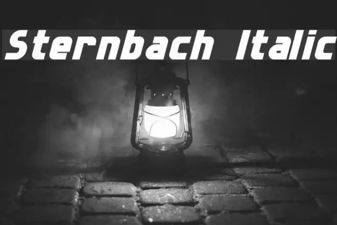 Sternbach Italic Font examples
