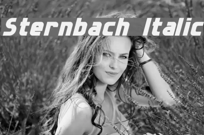 Sternbach Italic Font examples